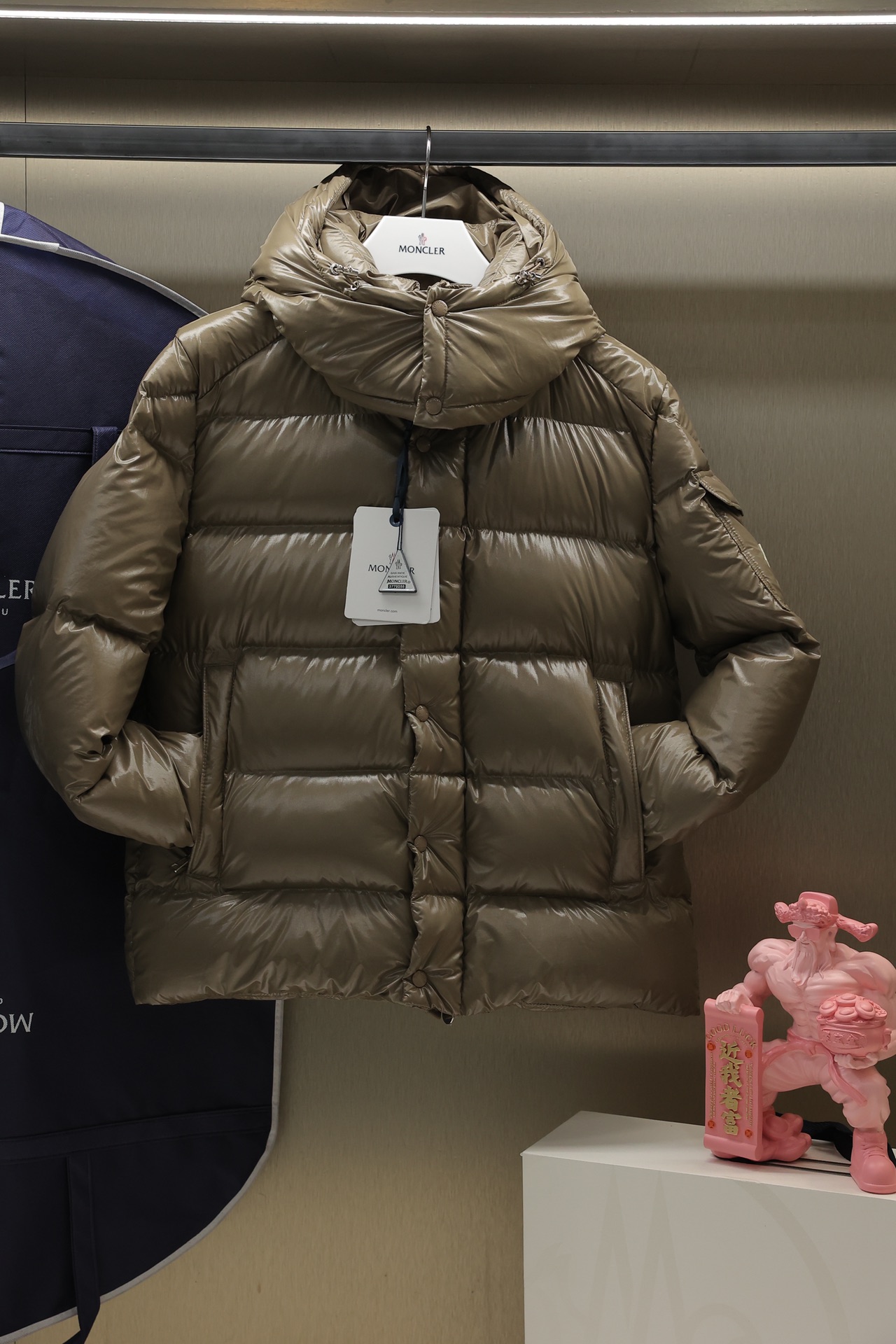 Moncler Down Jackets